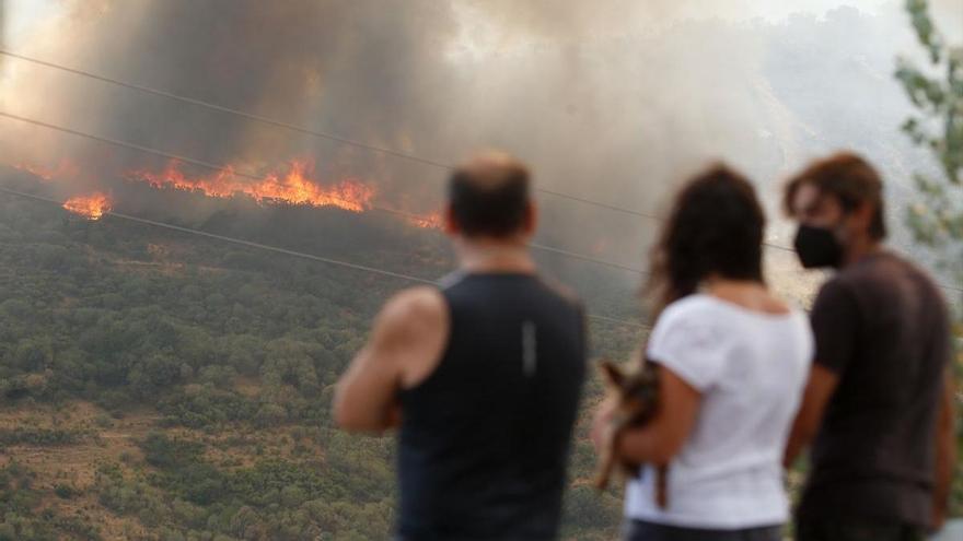 Castilla y León mantiene activos 18 incendios, 10 de ellos graves, con reproducciones por el viento