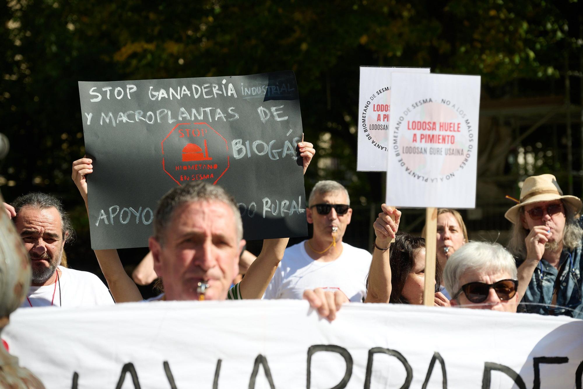 Concentración frente al Parlamento contra la central de biometano de Sesma