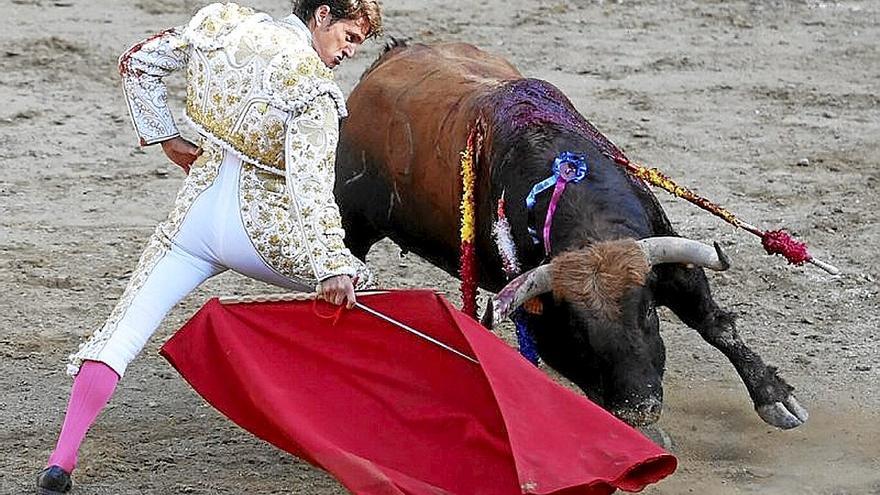 Lama de Góngora se dobla ante ‘Huérfano’, el toro más importante. 