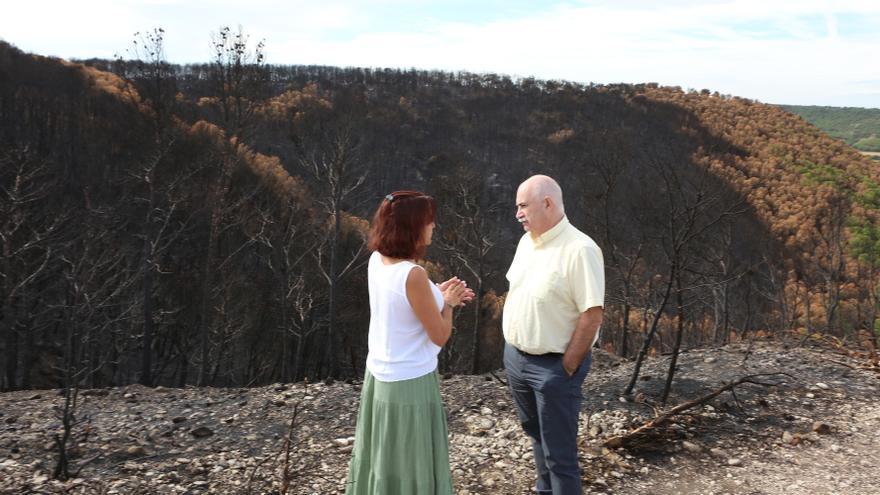 Así han quedado los montes afectados por el incendio de Carcastillo