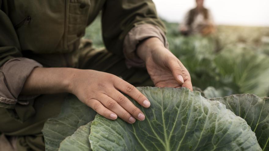 Bikainak: la fuerza de lo local, la defensa de un modo de vida y la conexión con nuestras raíces