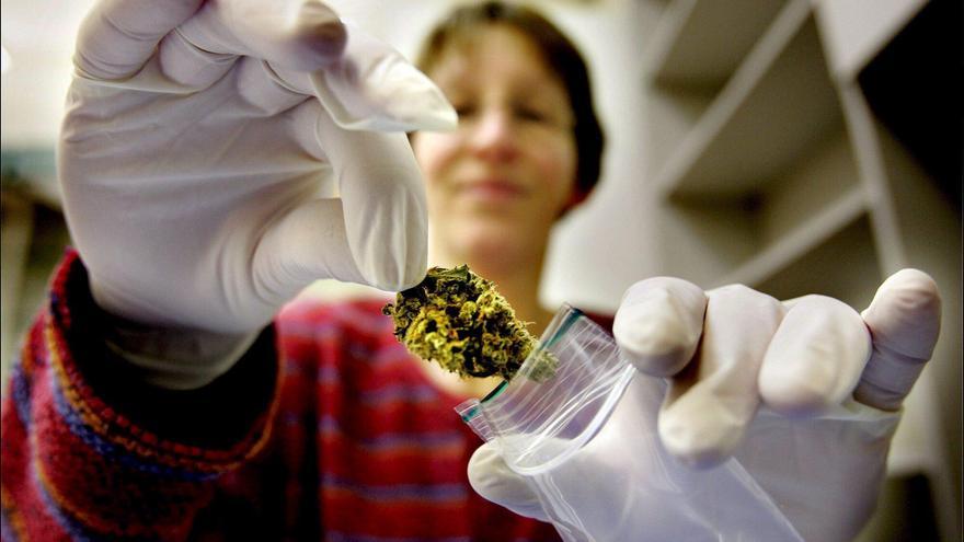 Aprobado el uso medicinal del cannabis: solo en hospitales y recetado por especialistas