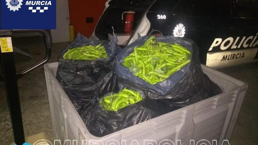 La Policía Local de Murcia interviene un vehículo con 190 kilos de habas robadas