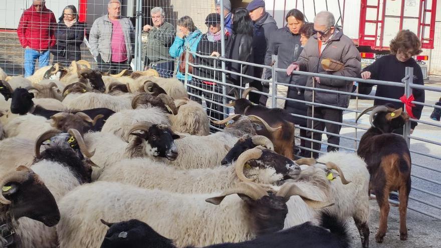 Estella, Urbasa y las ferias