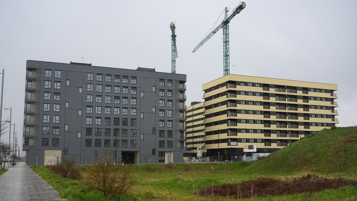 Unas viviendas en construcción, en imagen.