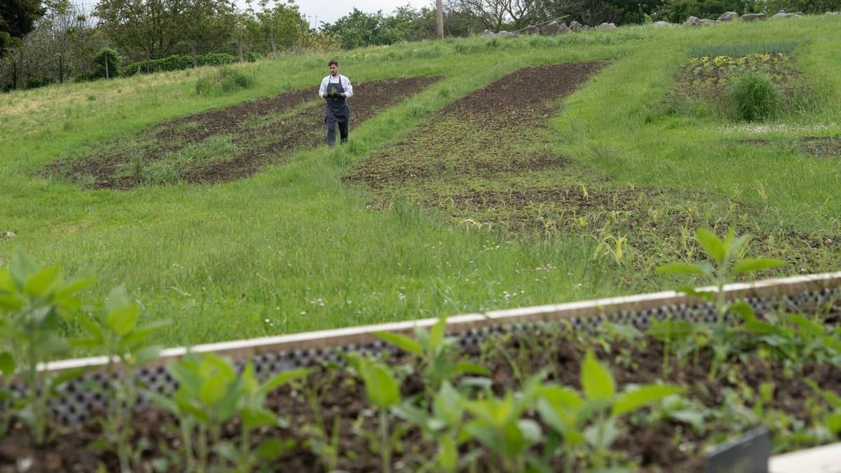 Uno de los alumnos del BCC en la huerta del centro