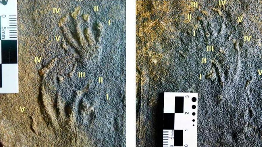 Documentan en Asturias los primeros rastros de lagartos jurásicos de Europa
