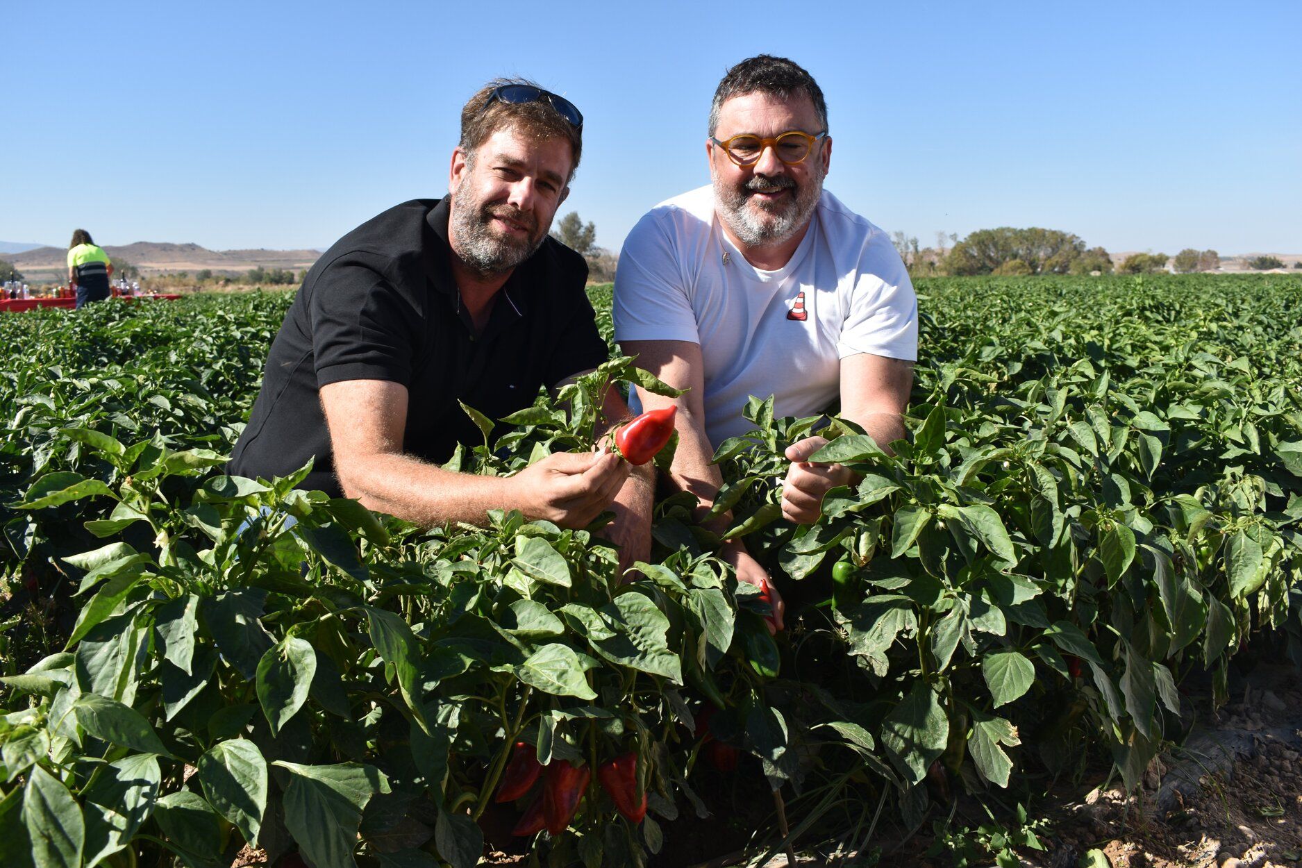 Fotos de las jornadas de exaltación del pimiento del piquillo de Lodosa