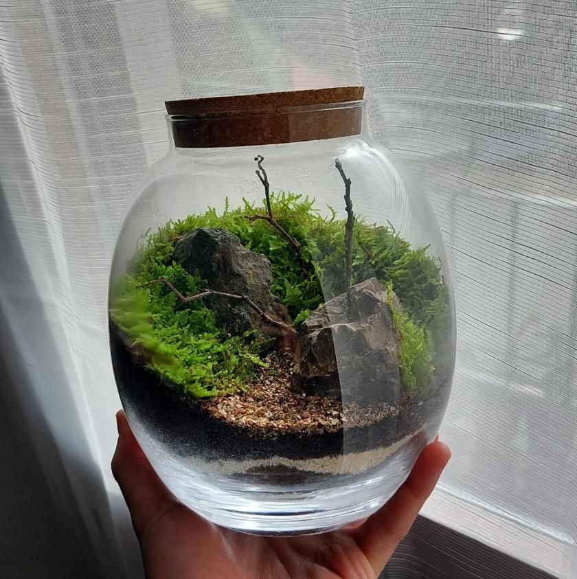 En imágenes: Así son los pequeños universos botánicos que triunfan en Bizkaia