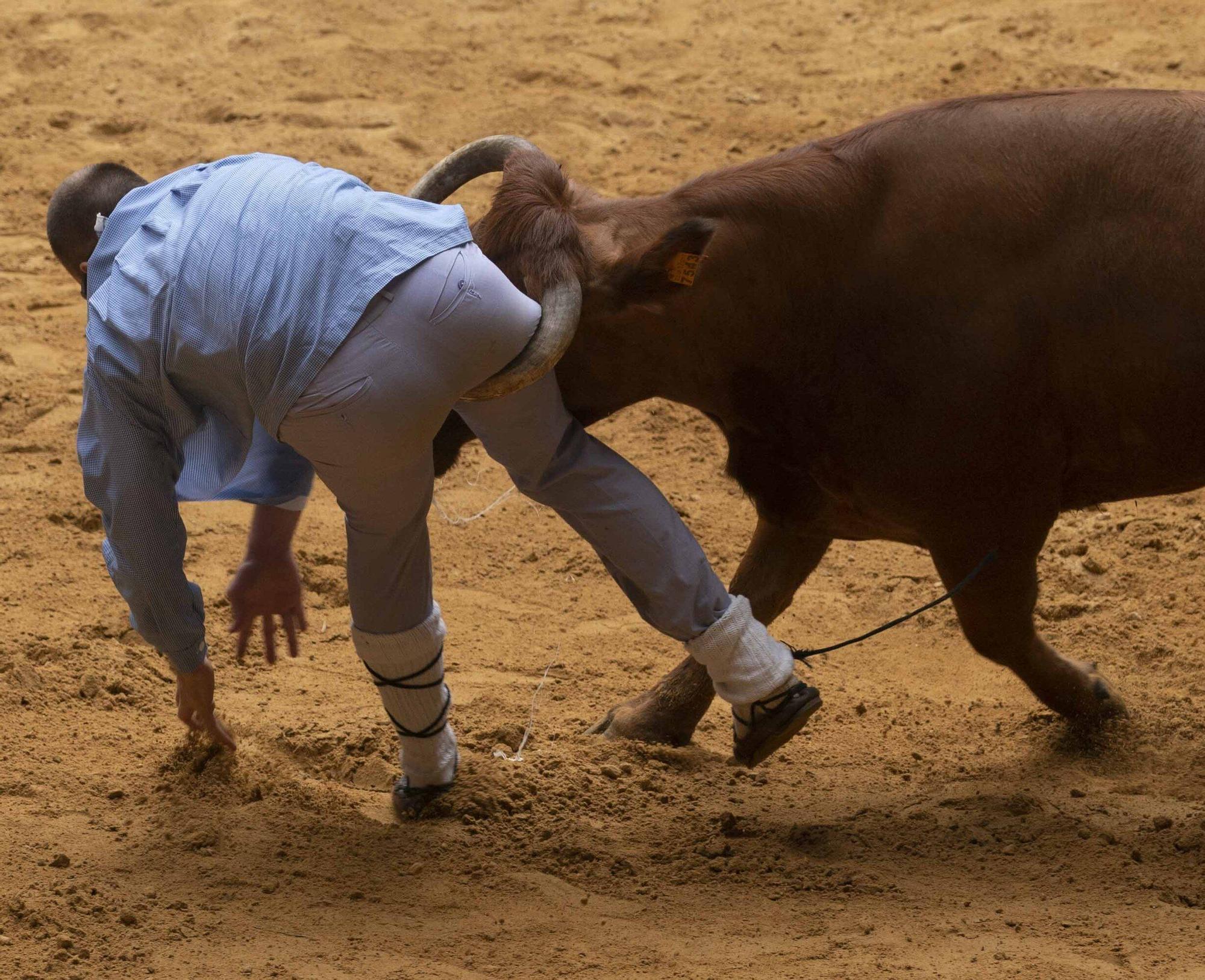 Eb imágenes: Las vaquillas reinan en el Iradier Arena
