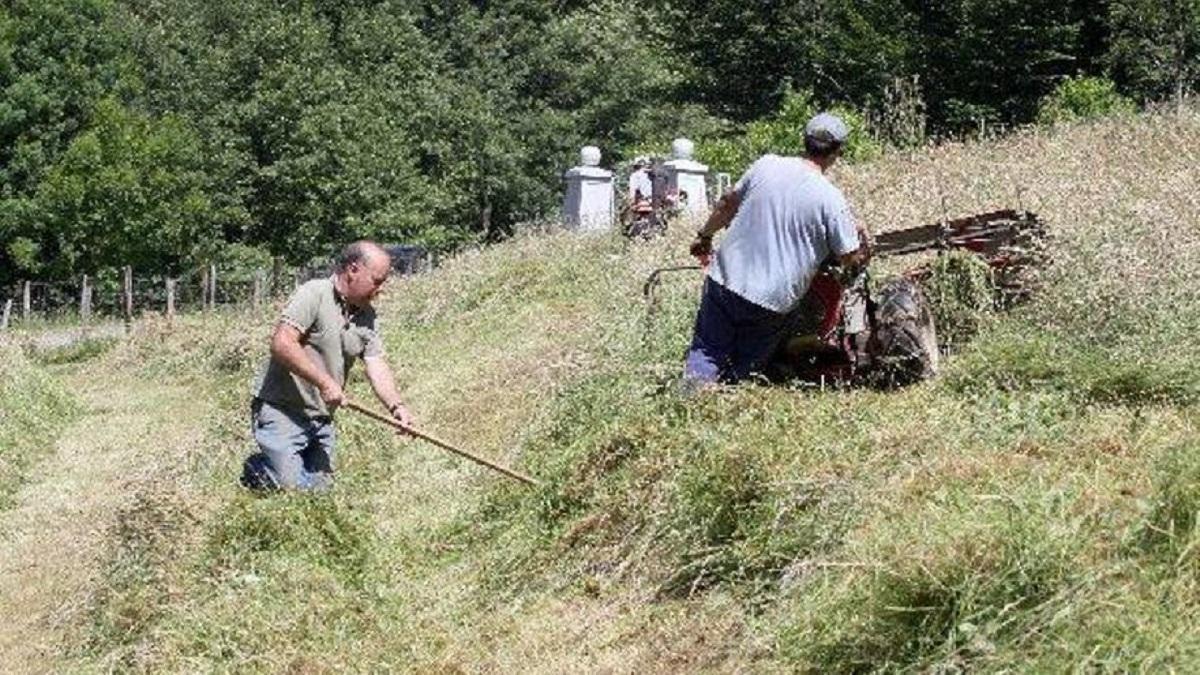 Belarmendiren norabidea
