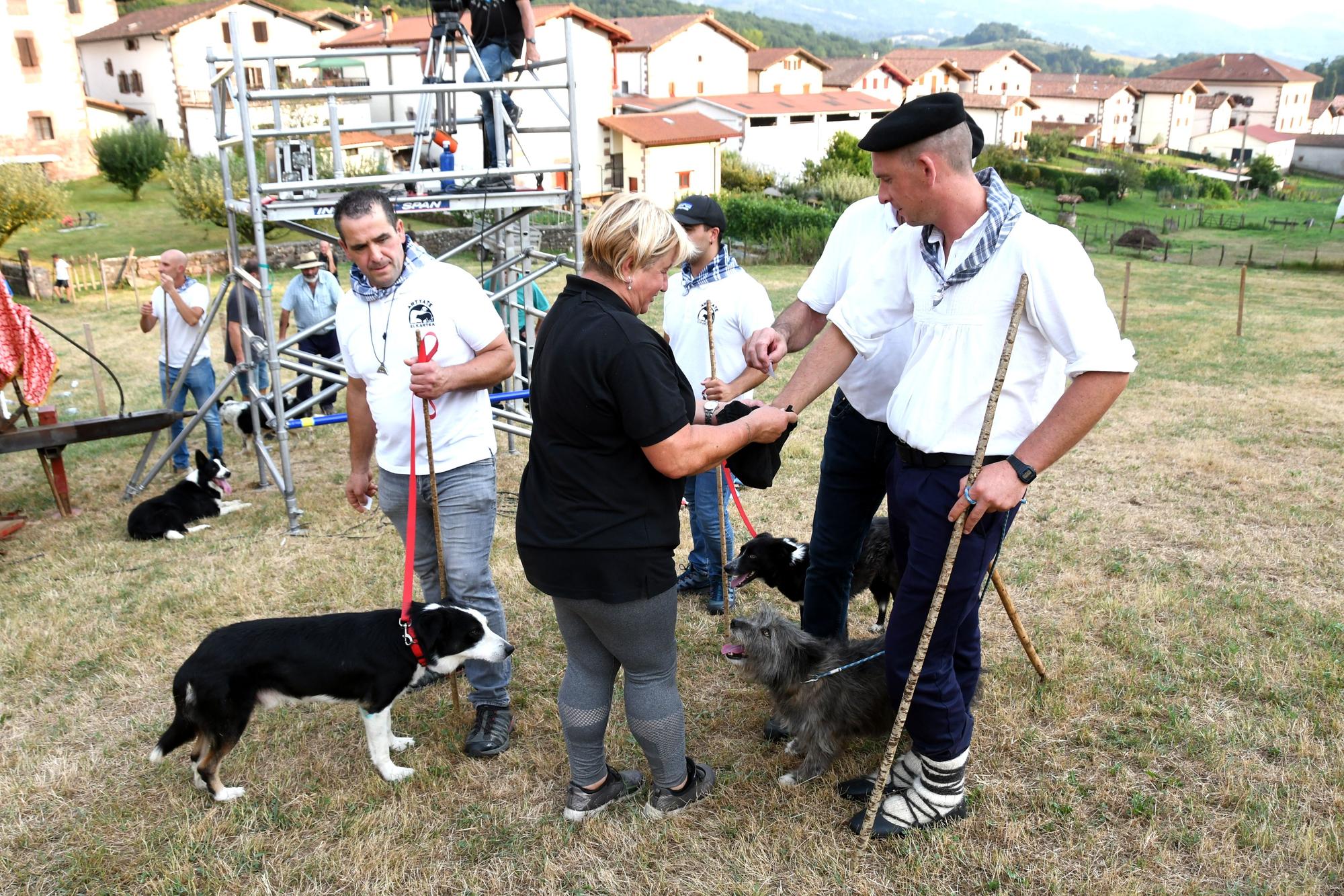 perro amaiur (7).JPG