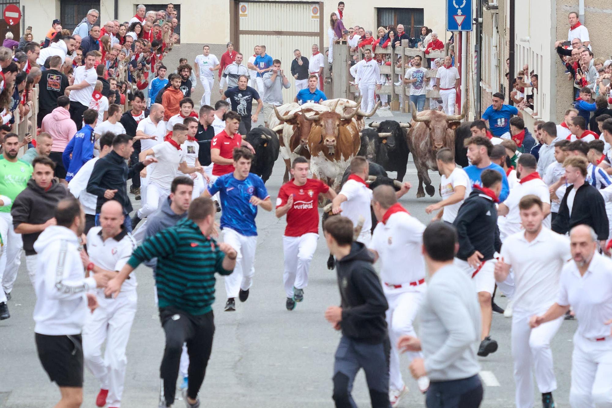 Fotos del segundo encierro de las fiestas de Sangüesa 2025