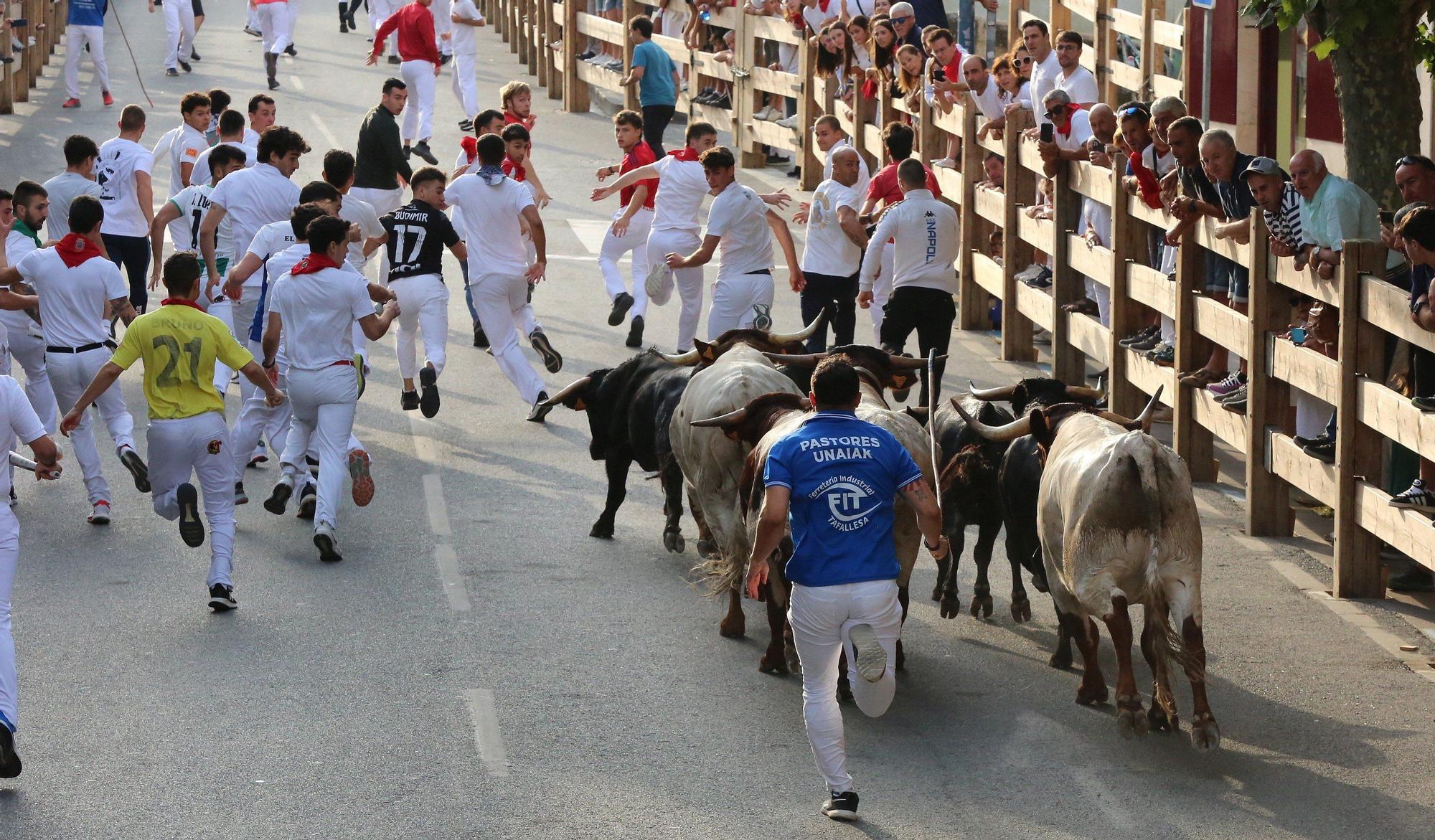 Fotos del cuarto encierro de fiestas de Tafalla 2025