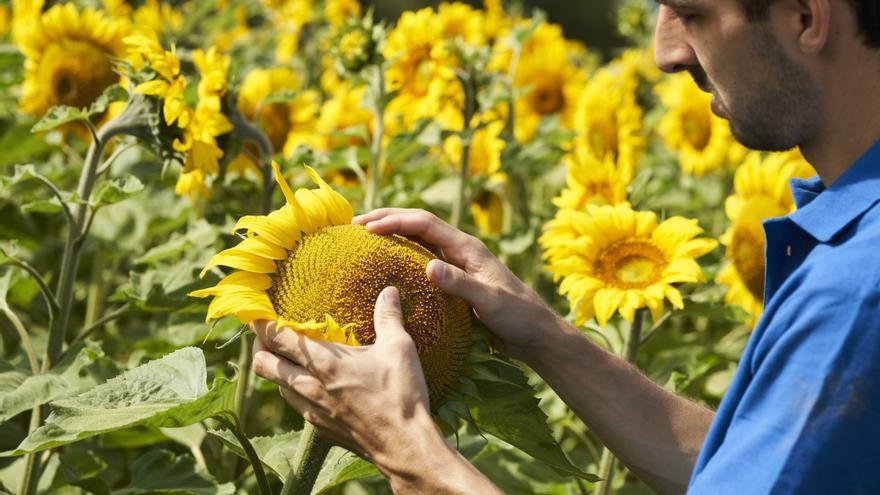 Garlan celebra “40 años cultivando el futuro”