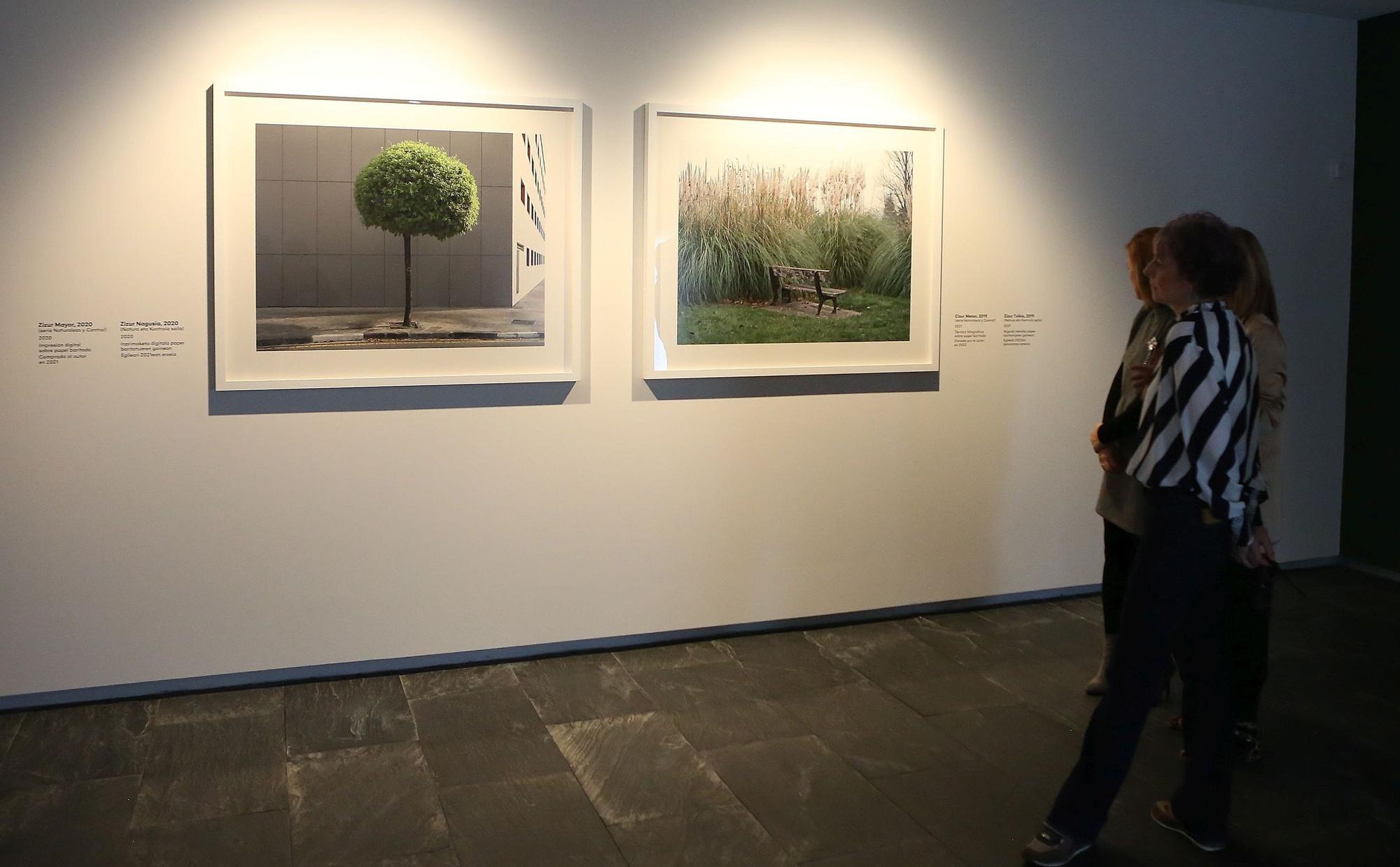Reapertura de toda la exposición permanente del Museo de Navarra