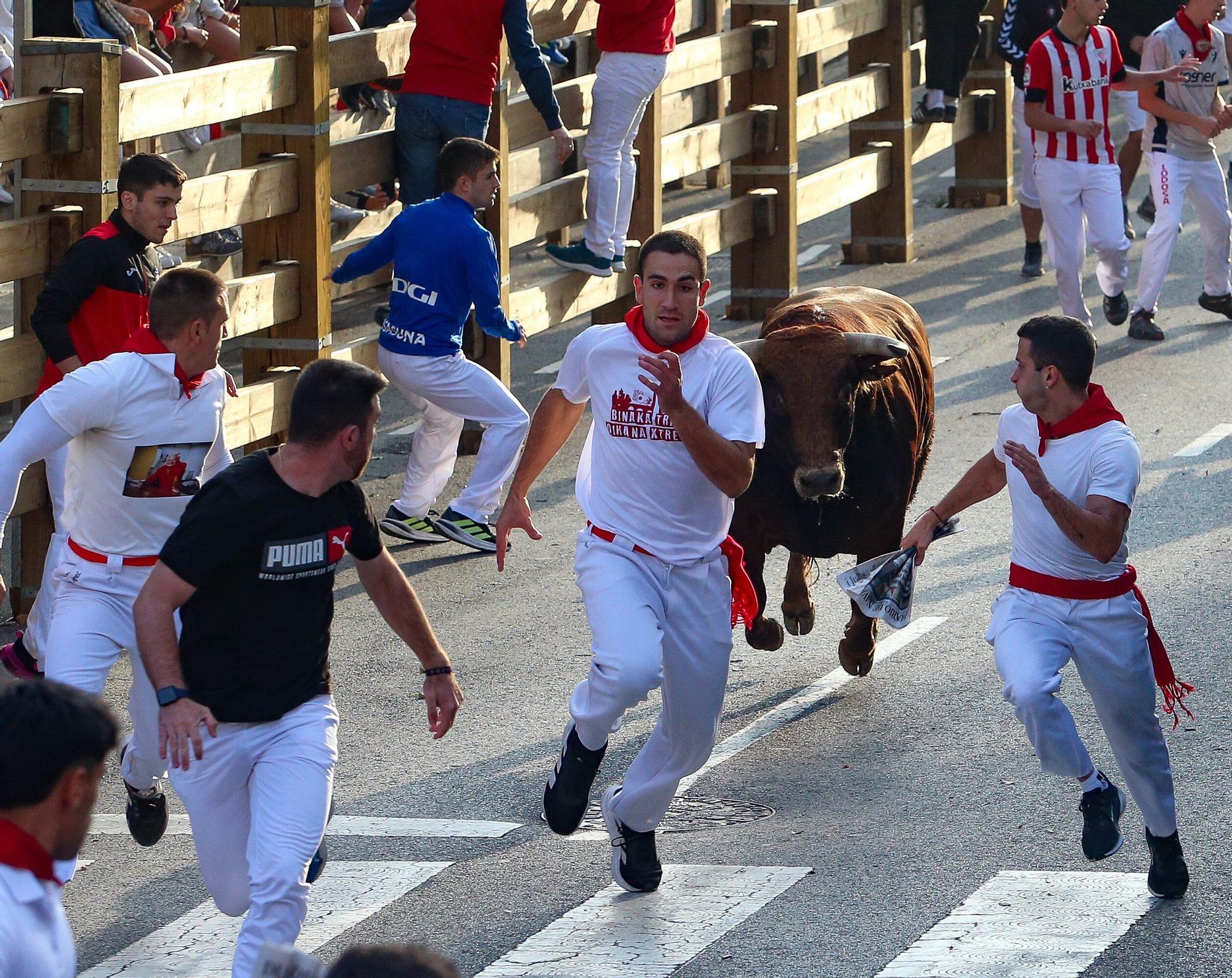Fotos del primer encierro de las fiestas de Tudela 2025