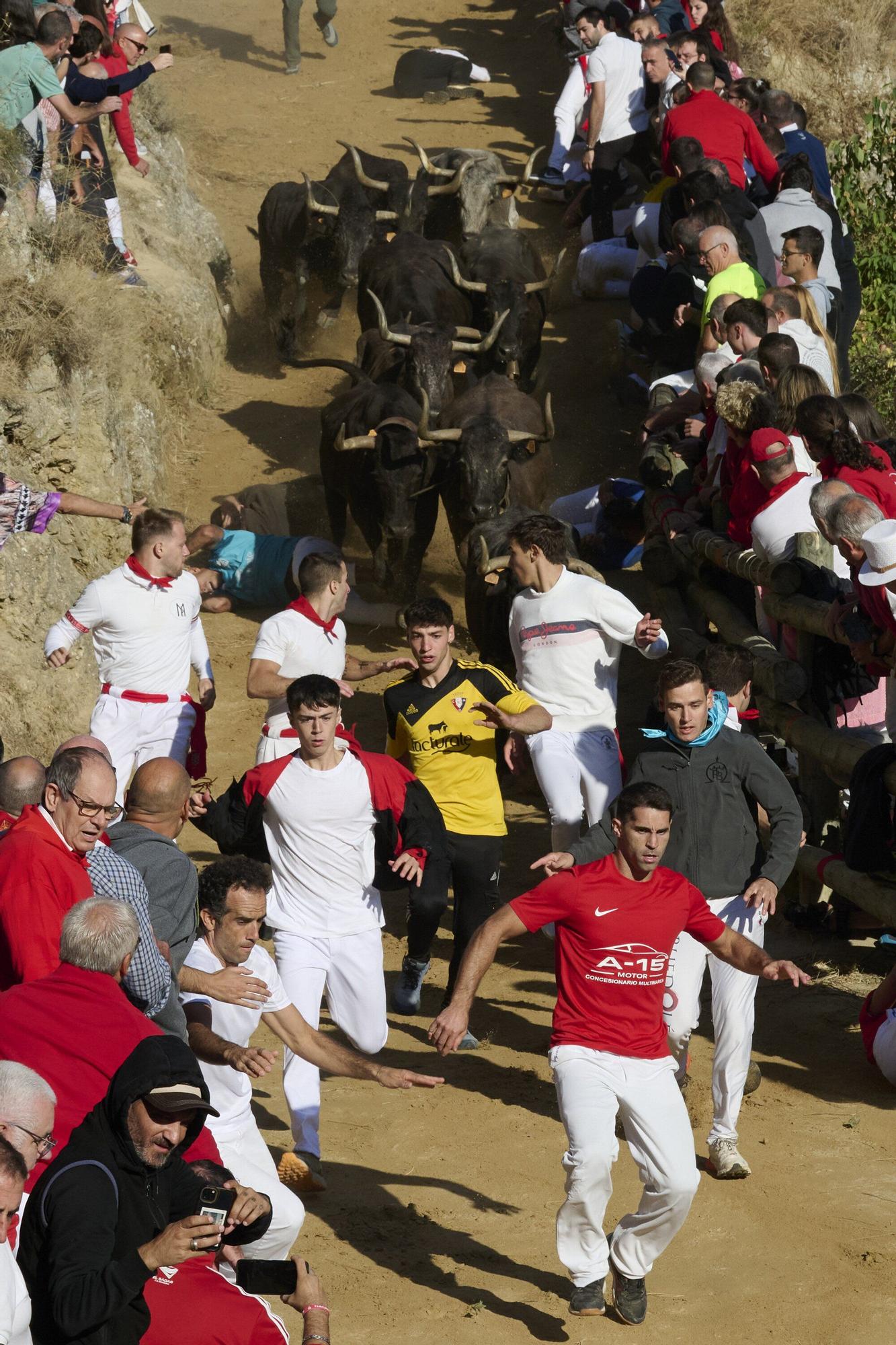 Fotos del penúltimo encierro del Pilón de Falces 2025