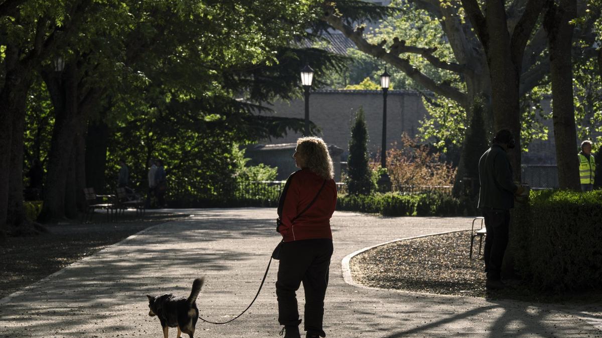 Una mujer camina con su perro por el parque de la Taconera en Pamplona.