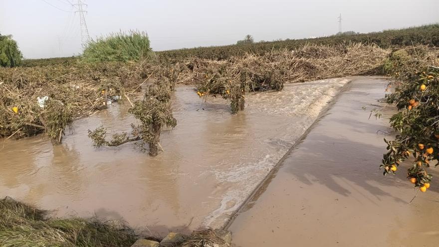 El Gobierno eleva a 80,7 millones de euros las ayudas a agricultores que repararon los daños de la dana
