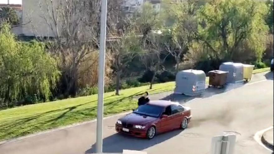 Vídeo en el que se ve conducir a un menor de Corella y a toda velocidad el coche robado por Alfaro