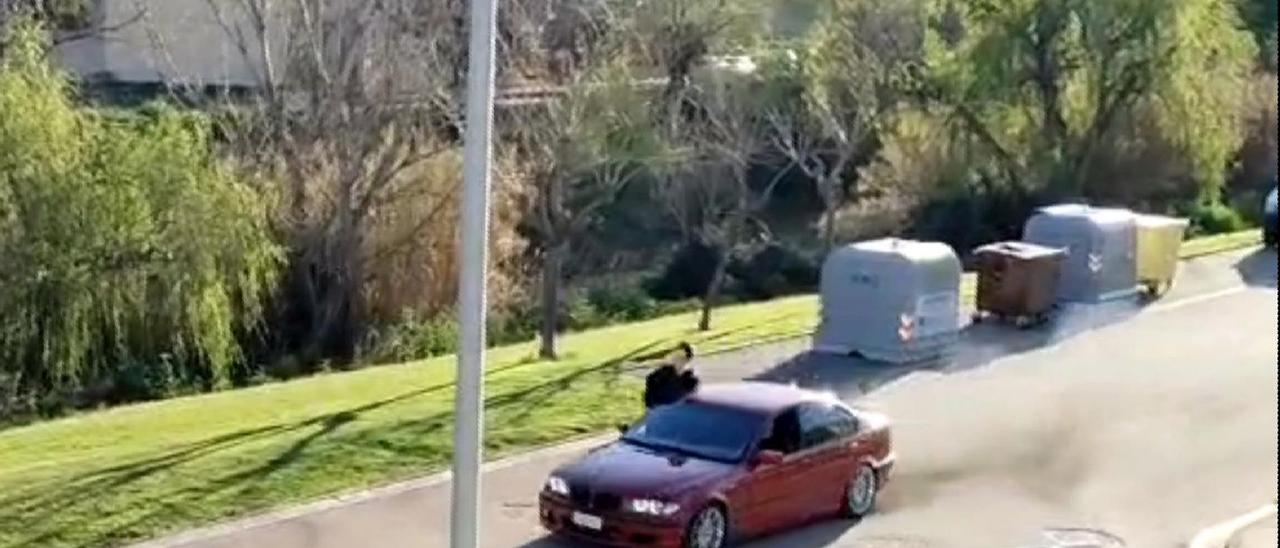 Vídeo en el que se ve conducir a un menor de Corella y a toda velocidad el coche robado por Alfaro