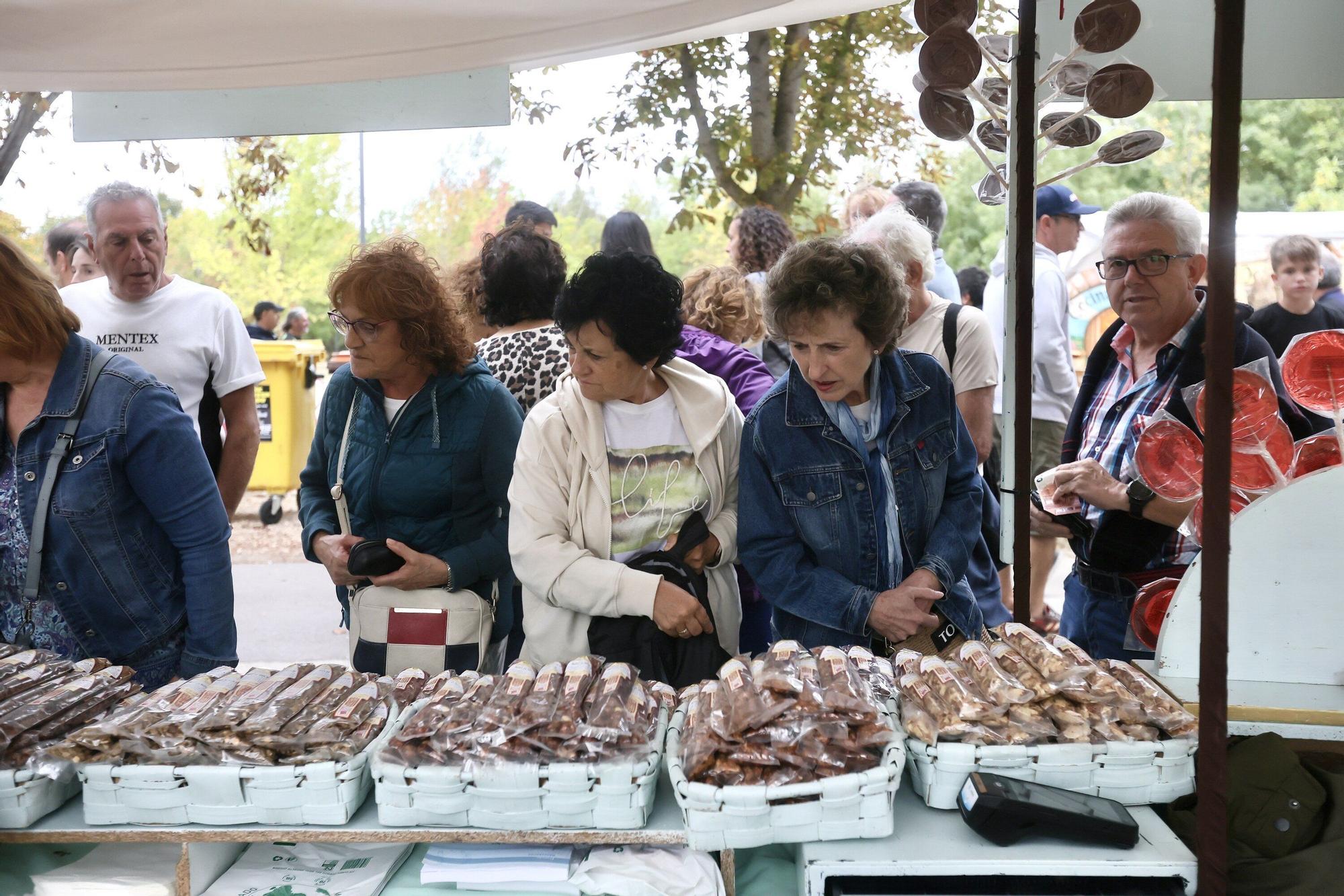 En imágenes: Las campas de Olarizu se llenan de fiesta