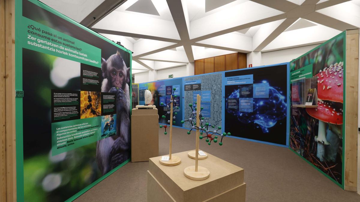 Paneles de la exposición.