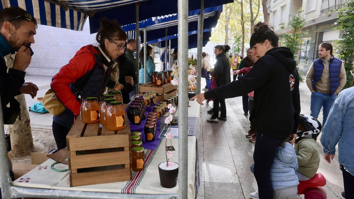 Feria de productos ecológicos, hoy en los Fueros.