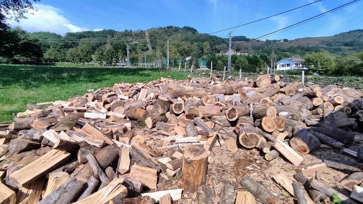 Baztan distribuye los lotes de leña