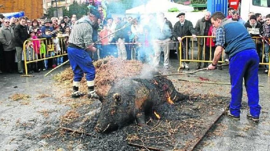 Numeroso público volvió a asistir a la demostración pública del proceso de quemado, raspado y vaciado del cerdo.
