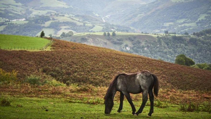 El valle navarro en el que Paloma San Basilio ha ambientado su nueva novela, según National Geographic