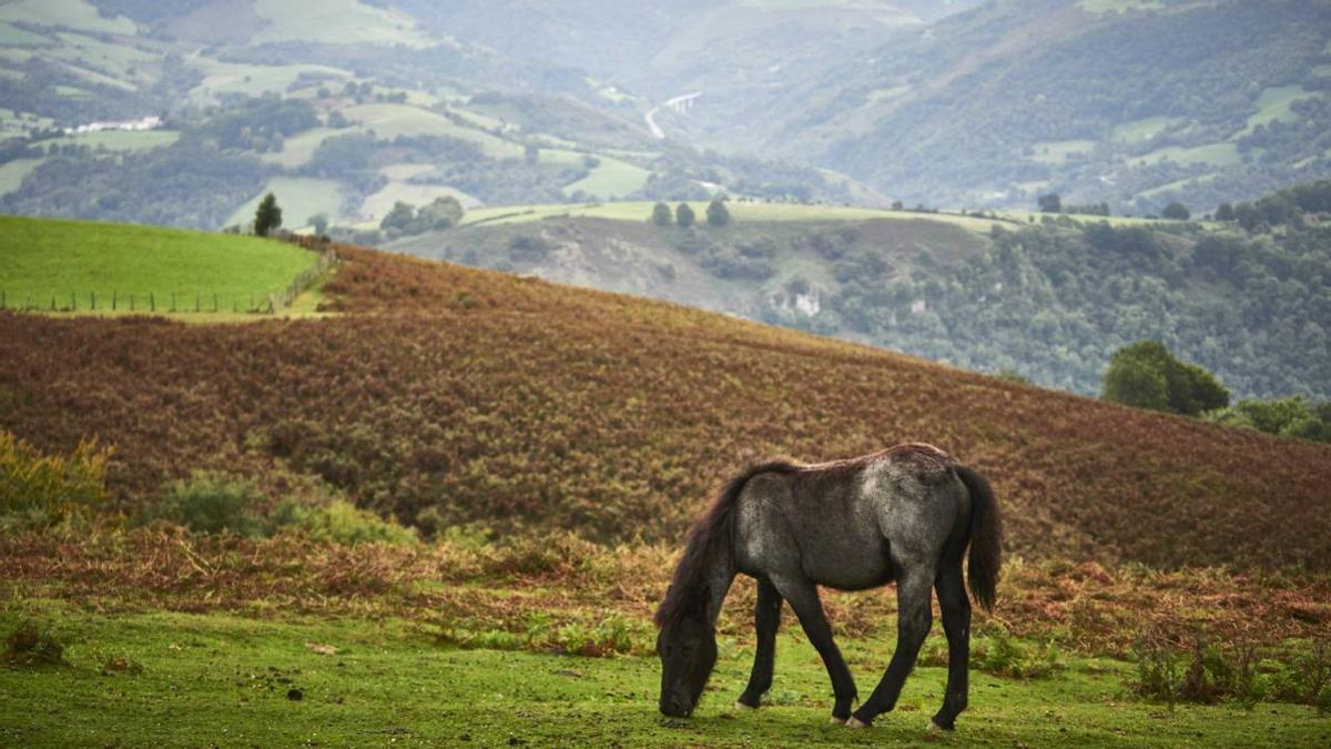 El valle navarro en el que Paloma San Basilio ha ambientado su nueva novela