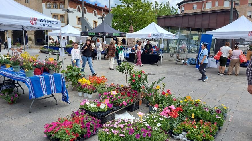 La feria de plantas de Mungia se instala el sábado en Foruen plaza con 21 puestos