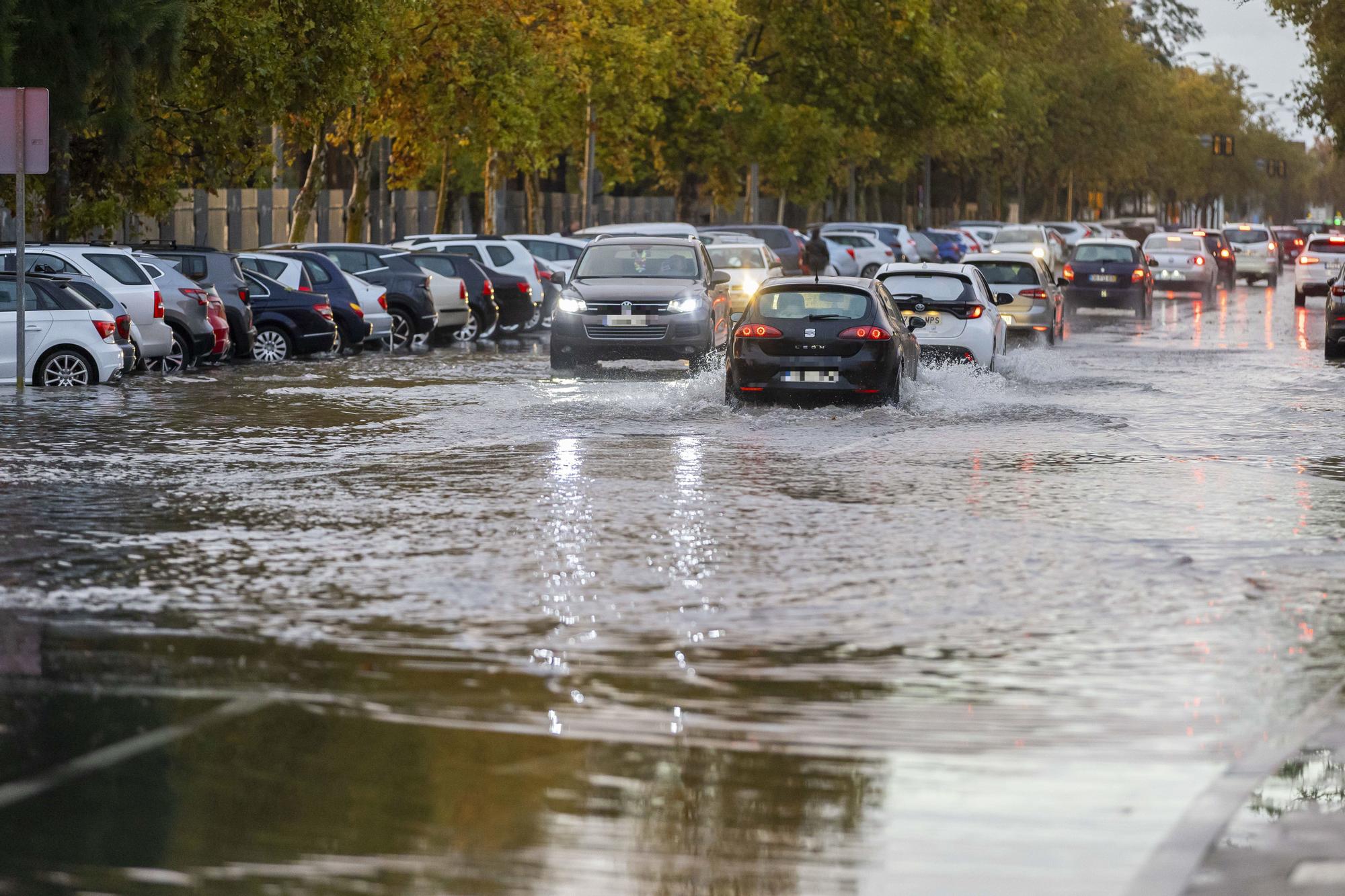 En imágenes: Andalucía supera las 900 incidencias por la borrasca 'Claudia', con la anegación de la estación de autobuses de Huelva