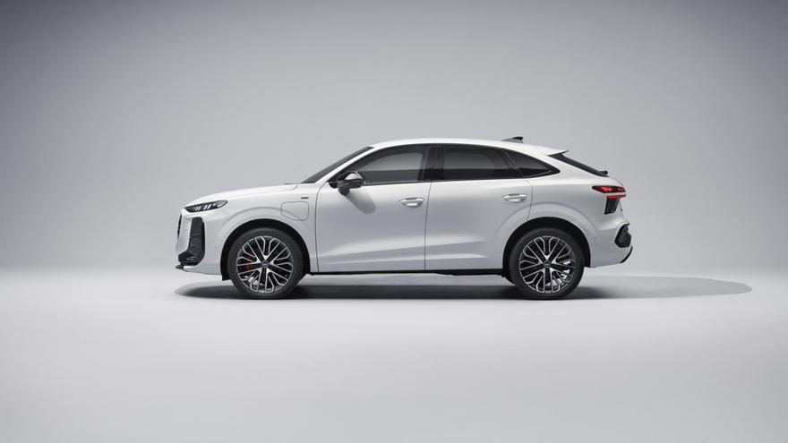 Audi Q3: en toda su plenitud