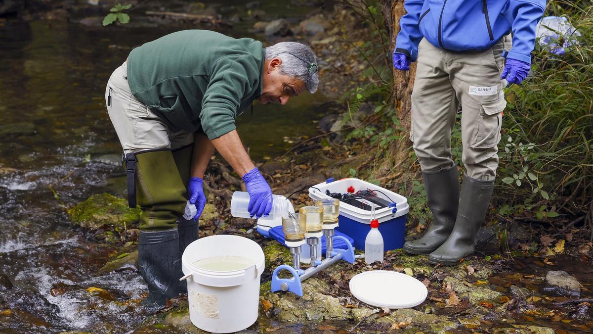 Los técnicos del proyecto de restauración fluvial Life Kantauribai, trabajando en Elizondo.