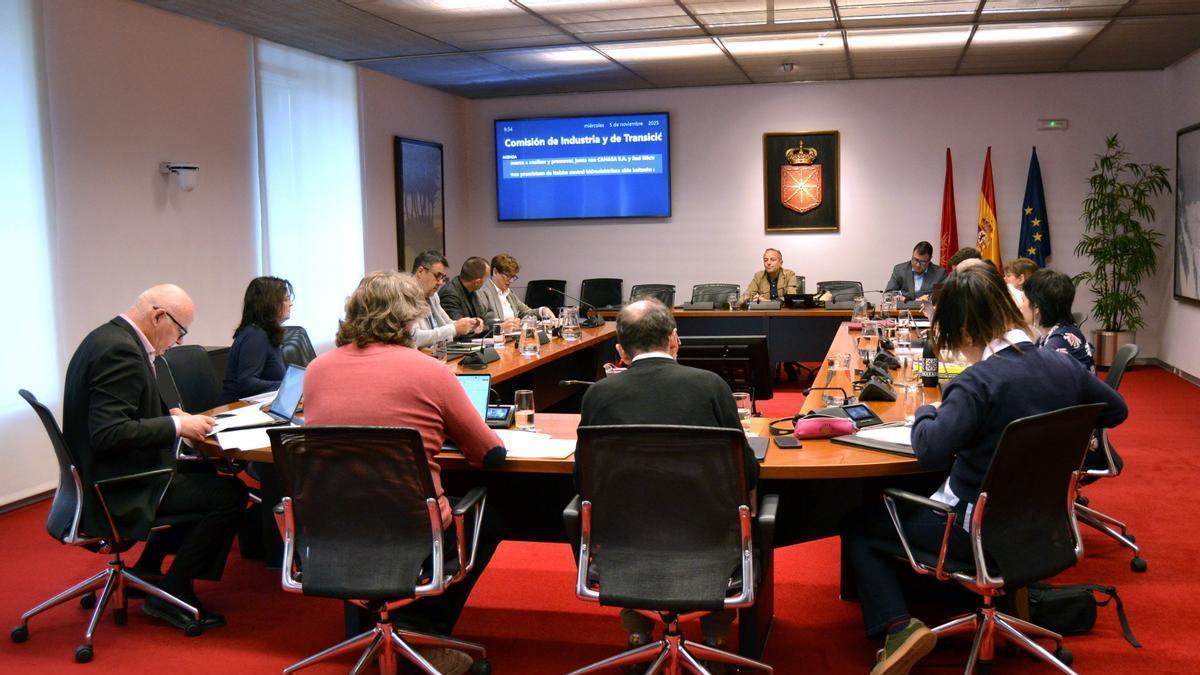 Comisión de Industria y de Transición Ecológica y Digital Empresarial del Parlamento de Navarra