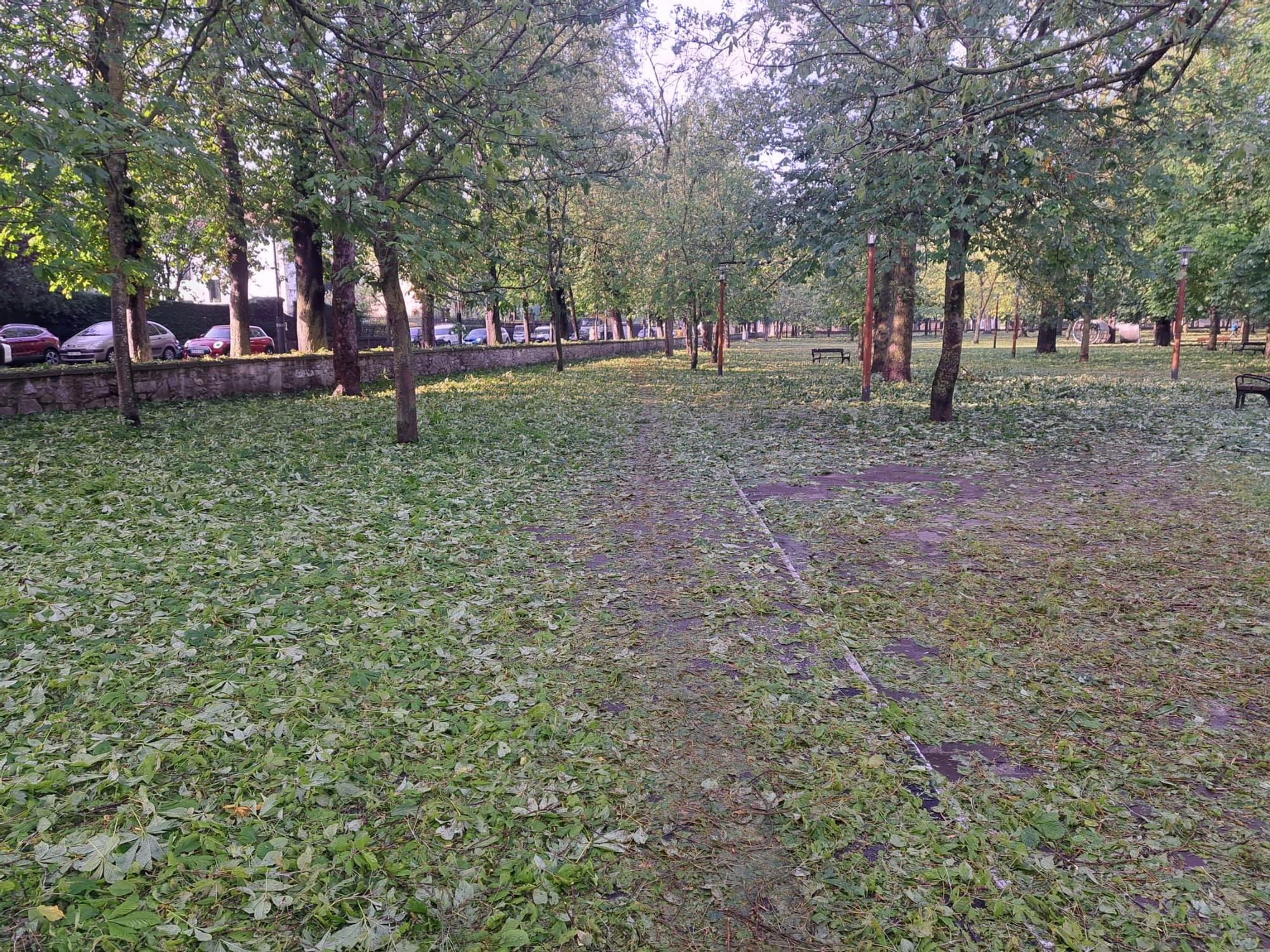 En imágenes: Así ha amanecido Vitoria