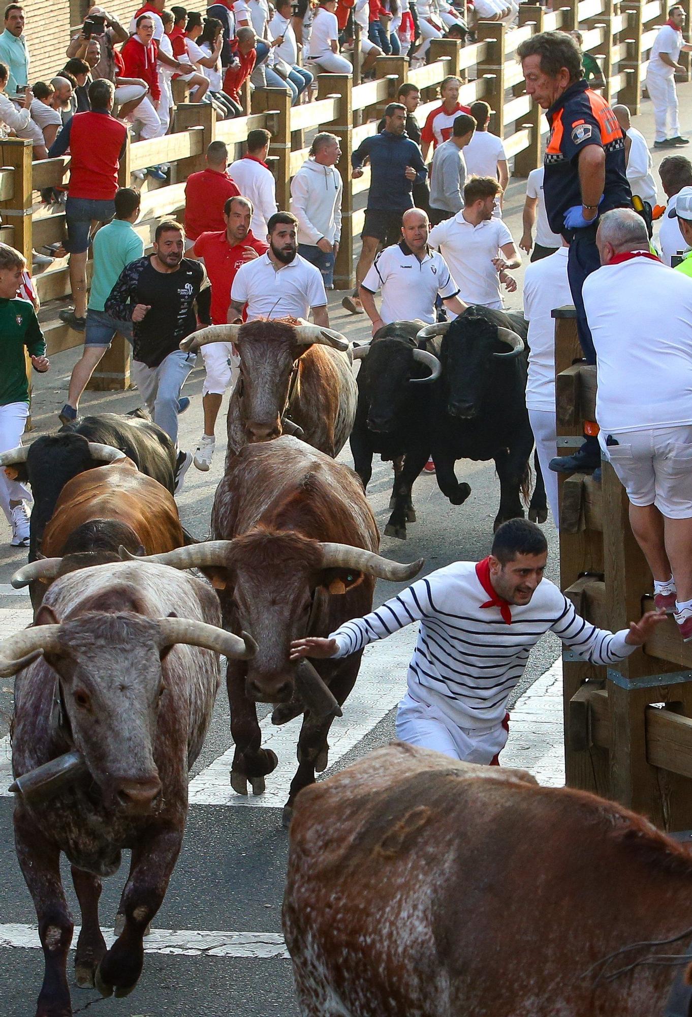 Fotos del primer encierro de las fiestas de Tudela 2025