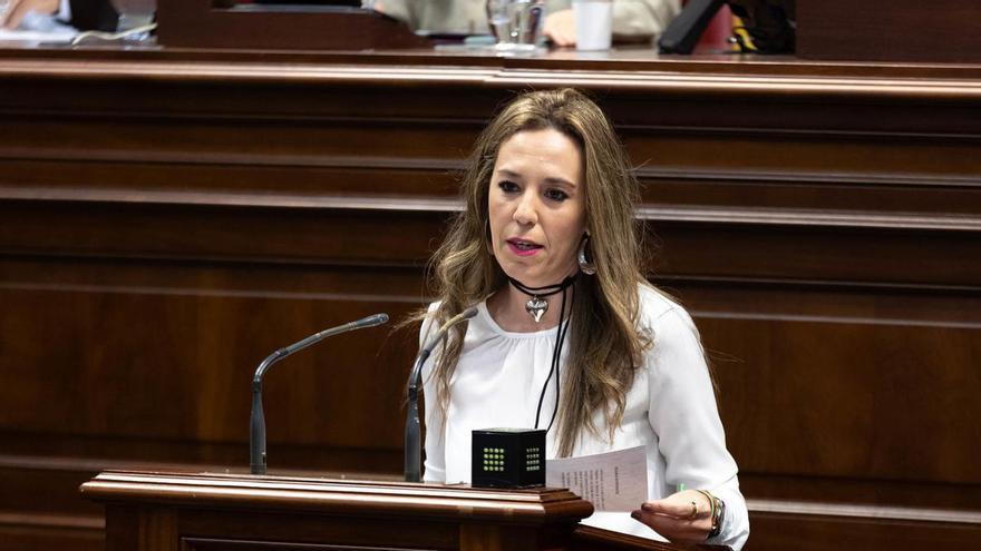 La consejera canaria de Turismo recibe amenazas y ataques contra su casa y vehículo por la Ley de Alquiler Vacacional