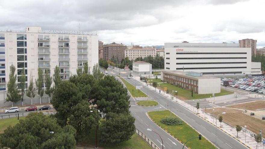 Clínica Universidad de Navarra: primer trasplante en cerdos de riñones modificados con organoides renales humanos