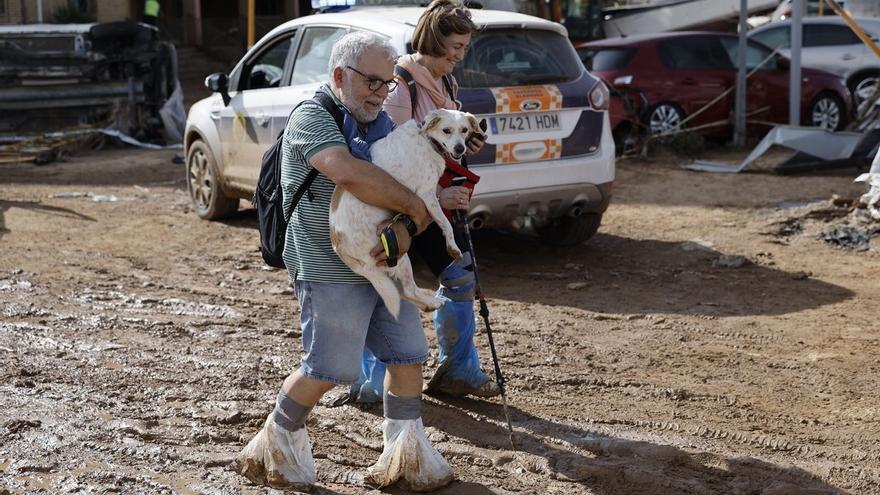 Aprendizajes tras la tragedia