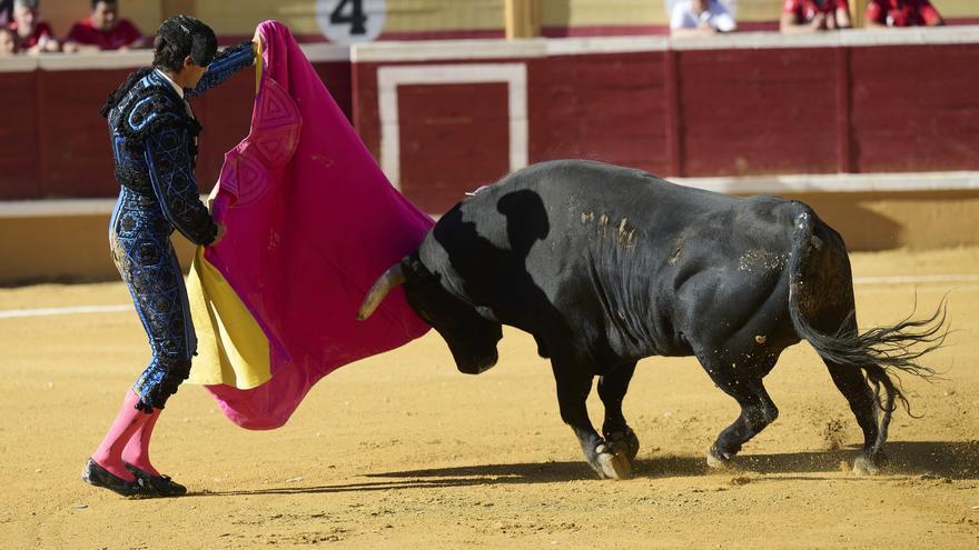 Fotos de la corrida con los toros de Ojailén en Tudela