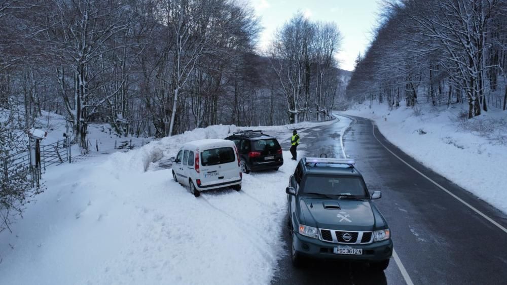 Nieve en el Puerto de Belate.