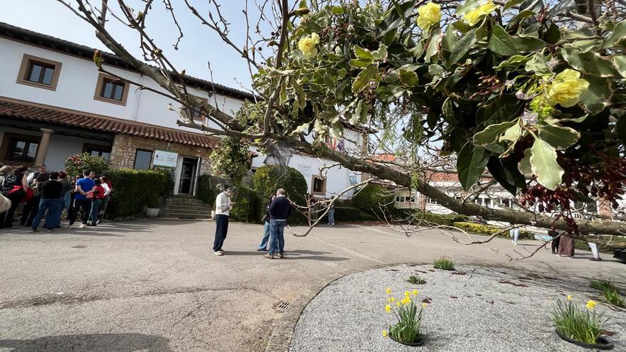 Los jóvenes fallecidos en el hundimiento de la pasarela de Santander estudiaban FP en Cantabria