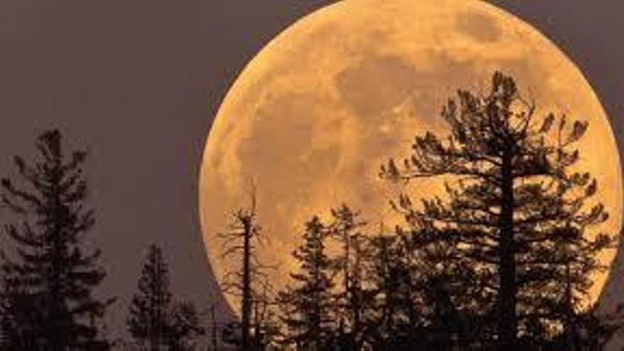 Luna de Maíz