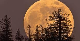 Luna de Maíz