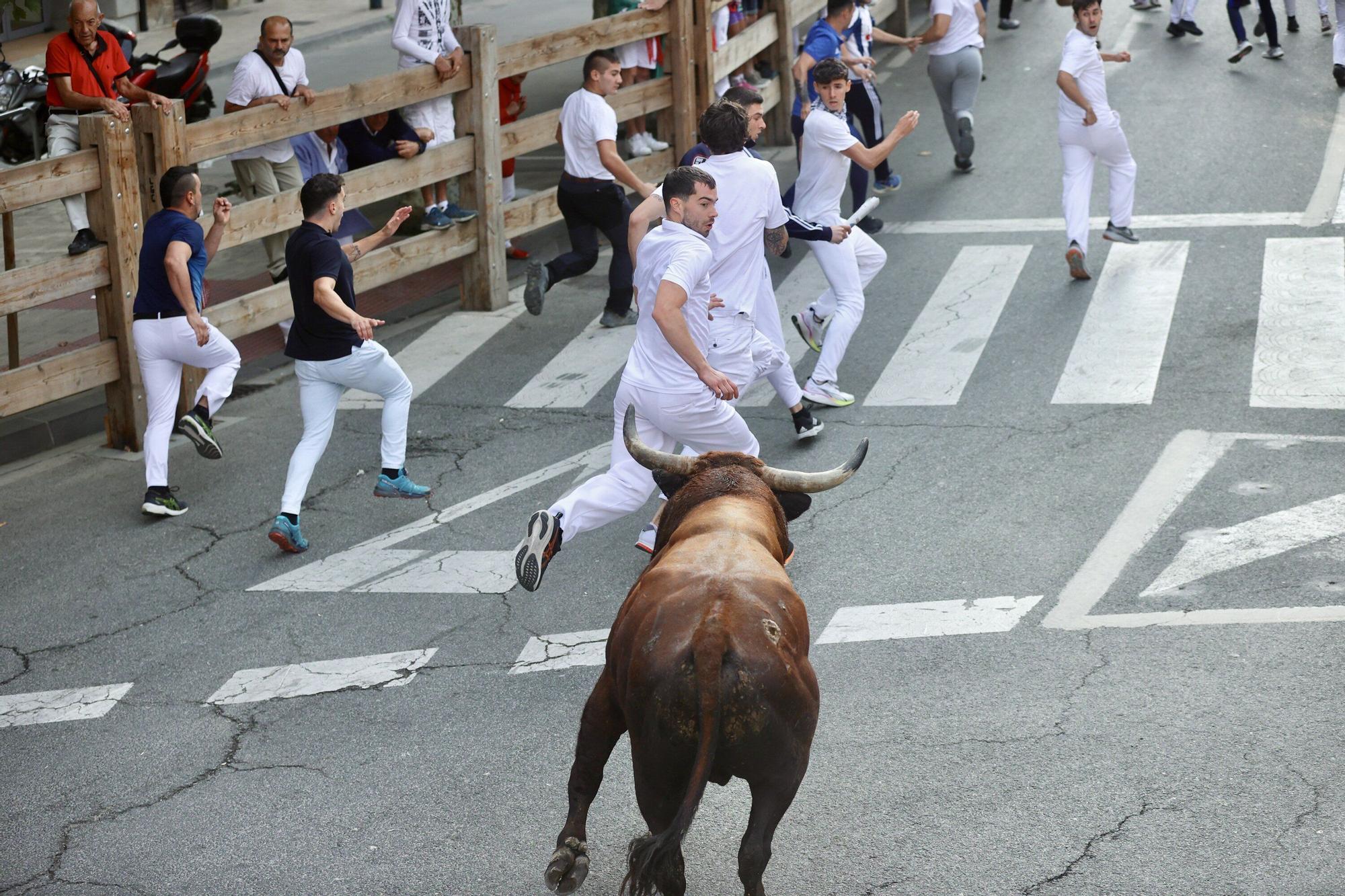 Fotos del quinto encierro de las fiestas de Tafalla 2025