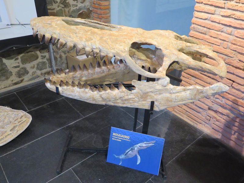 Los minerales, los fósiles y los dinosaurios toman Urretxu